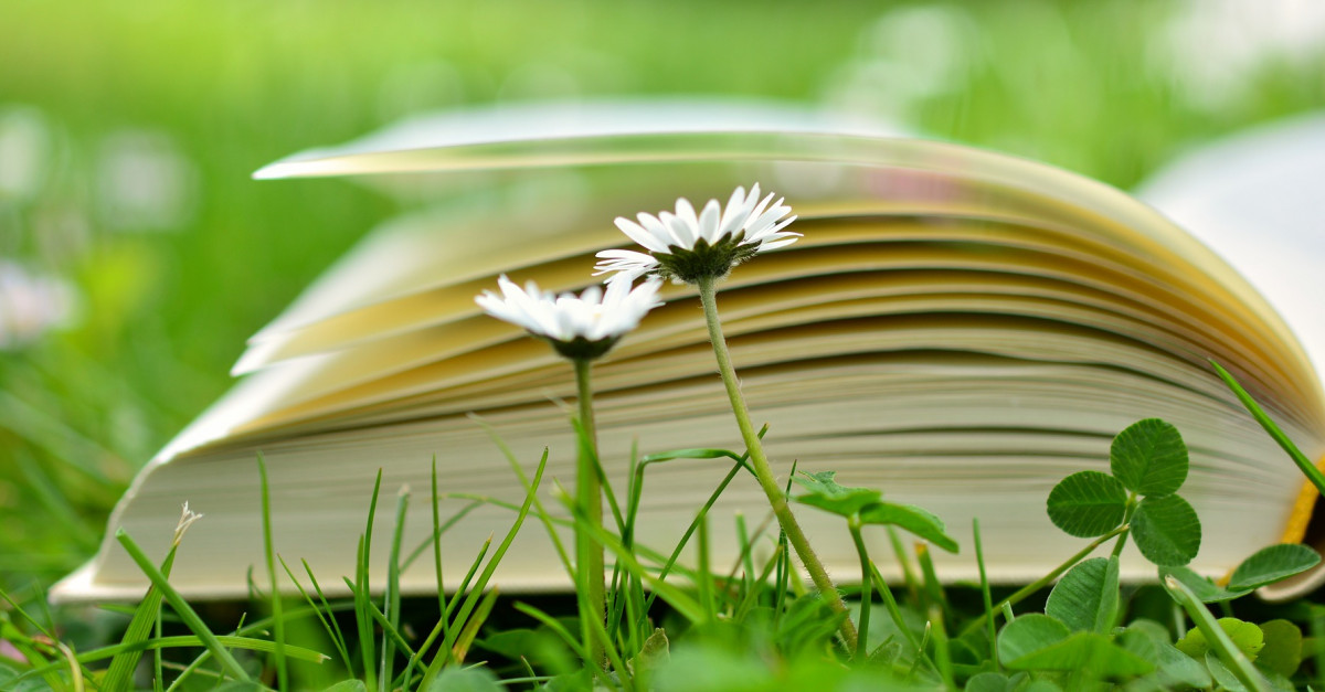 7 bienfaits insoupçonnés de la lecture sur la santé